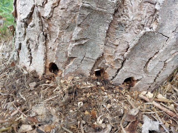 20250911_135853 20250911_135853