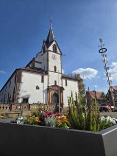 2_Wechselflor Marktplatz Herbst 2026