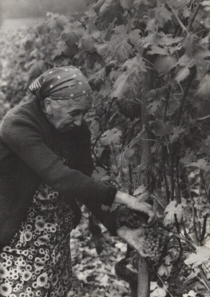 Alter Wein neue Schläuche