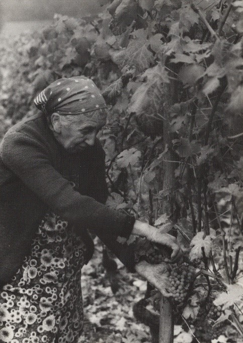 Alter Wein neue Schläuche