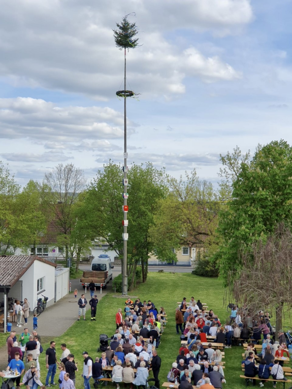 Maibaumaufstellung Ringheim 2