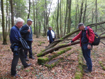 Friedensweg Ringheim Friedensweg Ringheim