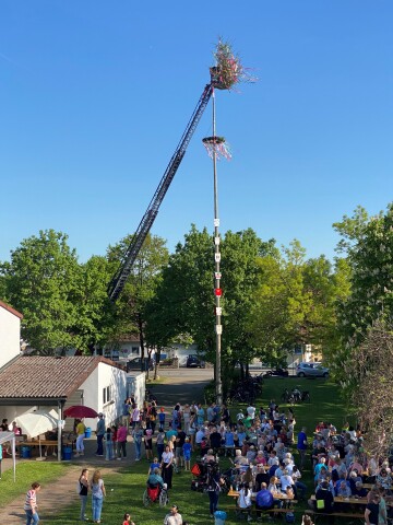 Titelbild Maibaumaufstellung