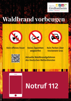 Schild A4 Waldbrand vorbeugen mit QR Code DWD_1